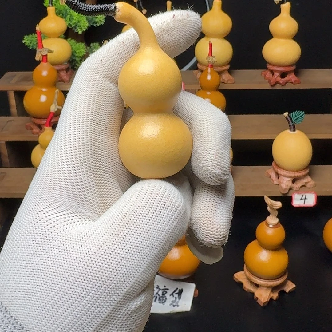 初***苏木天然葫芦66666666