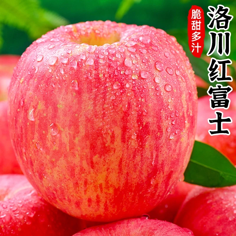 【脆甜多汁】陕西洛川红富士苹果陕西洛川苹果肉厚新鲜水果送人礼盒