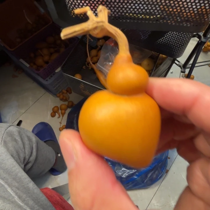 彼***阳太阳的一把钱袋子葫芦太阳的一把钱袋子