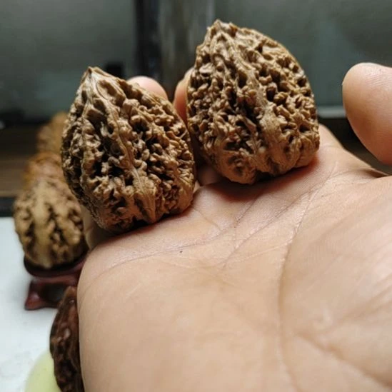文玩核桃把件蚂蚁窝葫芦