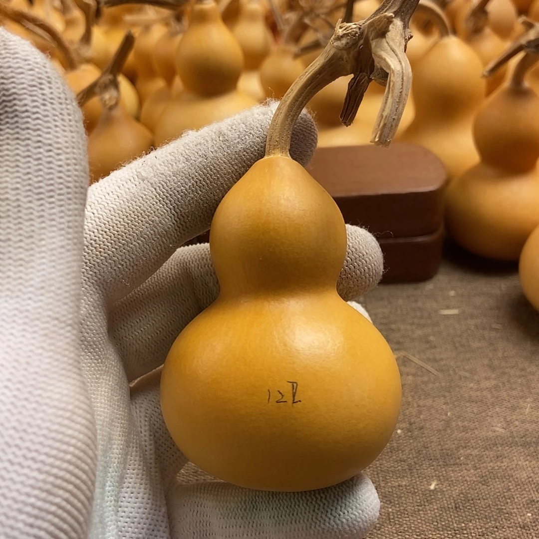 文玩葫芦  完美主义者 慎拍122