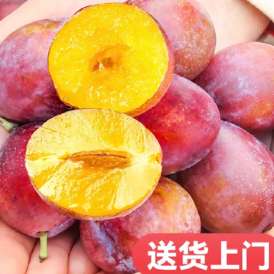 智利西梅新鲜水果脆甜特大果盒装10-35g海运进口2.8斤只发川渝