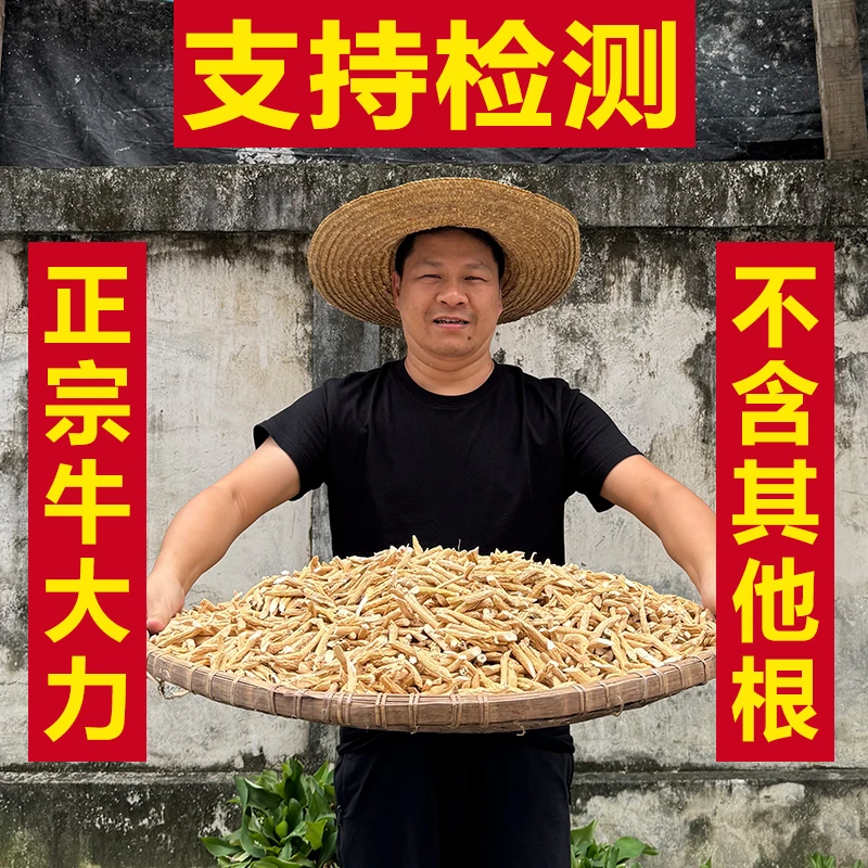 正宗山里的牛大力  农户山里挖的牛大力 无硫不施肥 不混其他树根