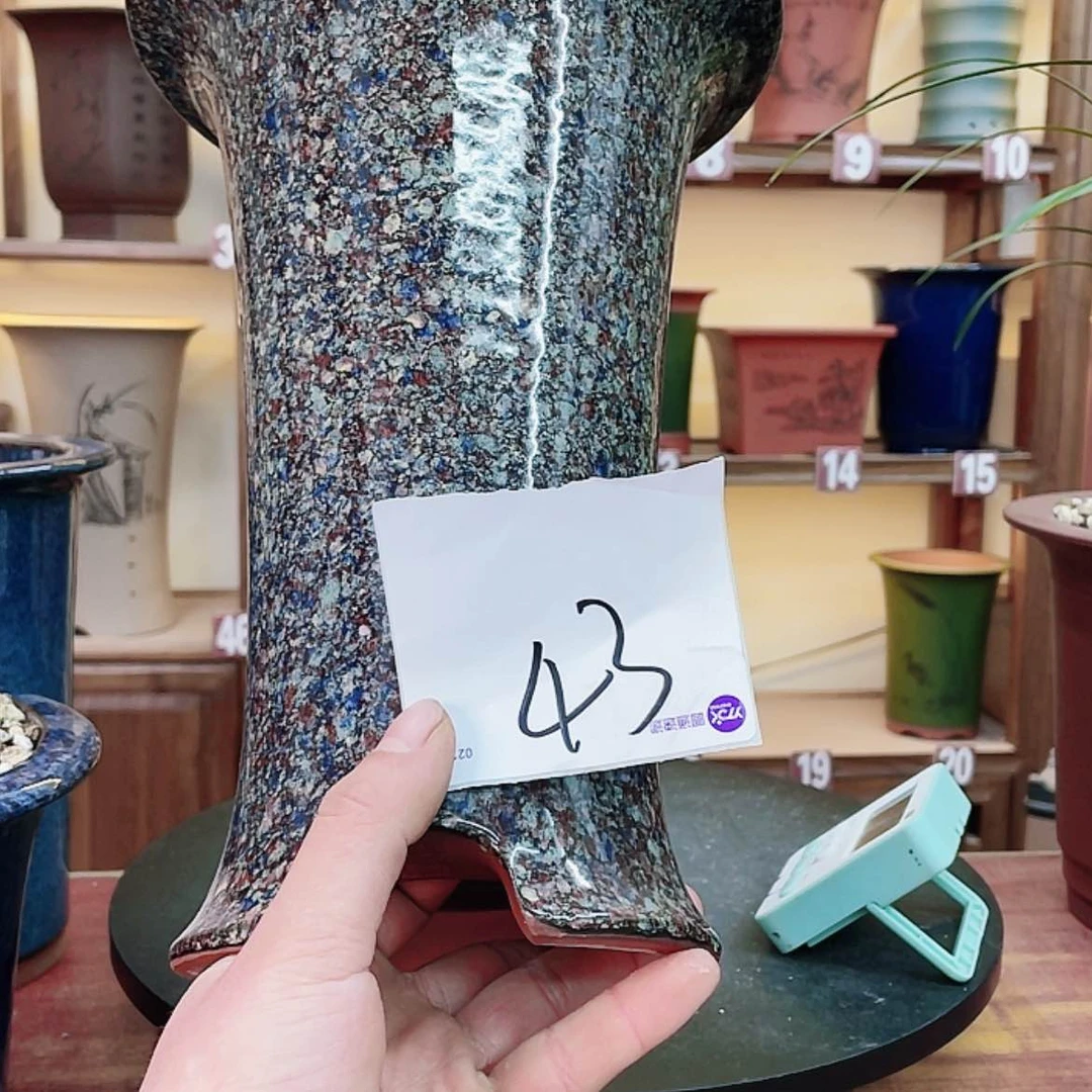 【闪购商品】紫砂花盆董***懂兰花755884255544255544