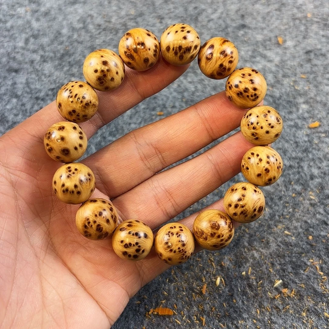 崖柏太行崖柏爆满芝麻瘤1.5