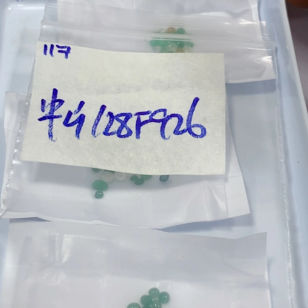 中***行定制翡翠未镶嵌不