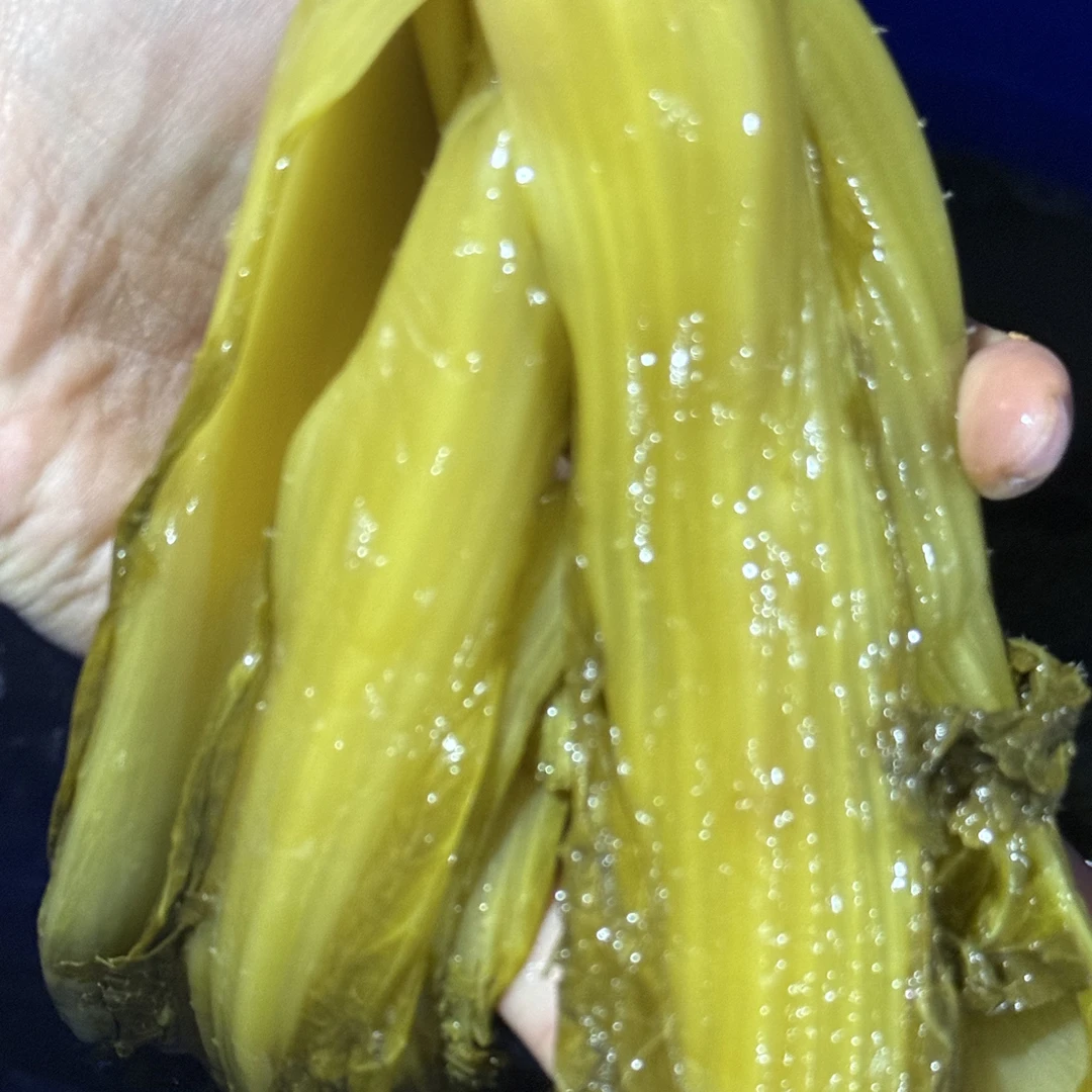 镇雄正宗无盐酸菜（煮酸汤必备）