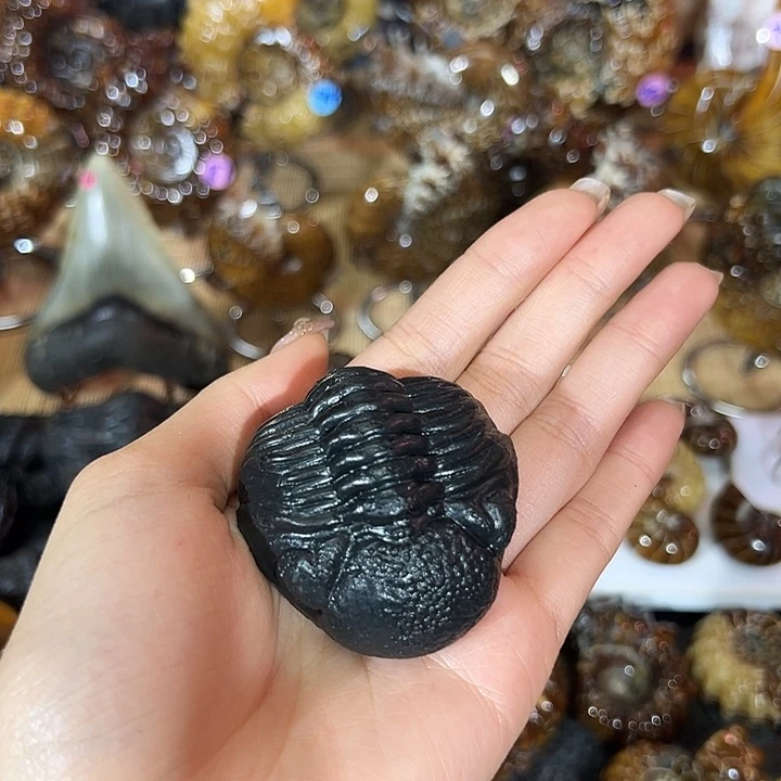 A***e精品系列产品摆件134689