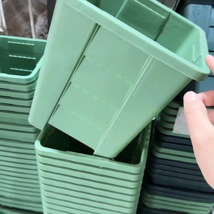 方22口径6个无托浅绿