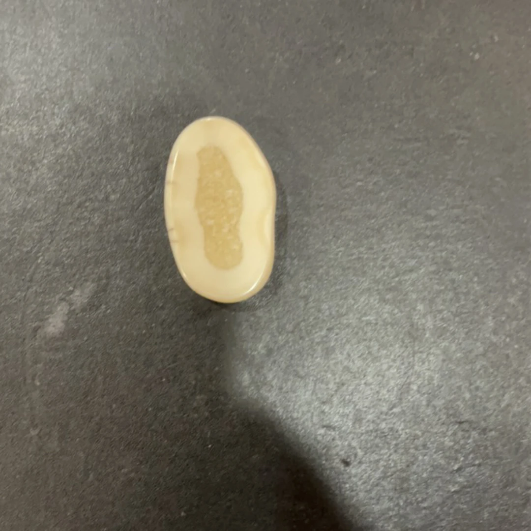 猛犸虬约29克饼子配饰TD320