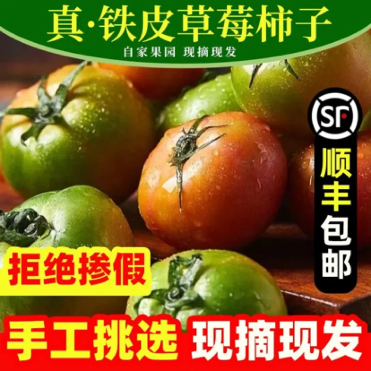 水果番茄正宗番茄味6斤装新鲜番茄同城配