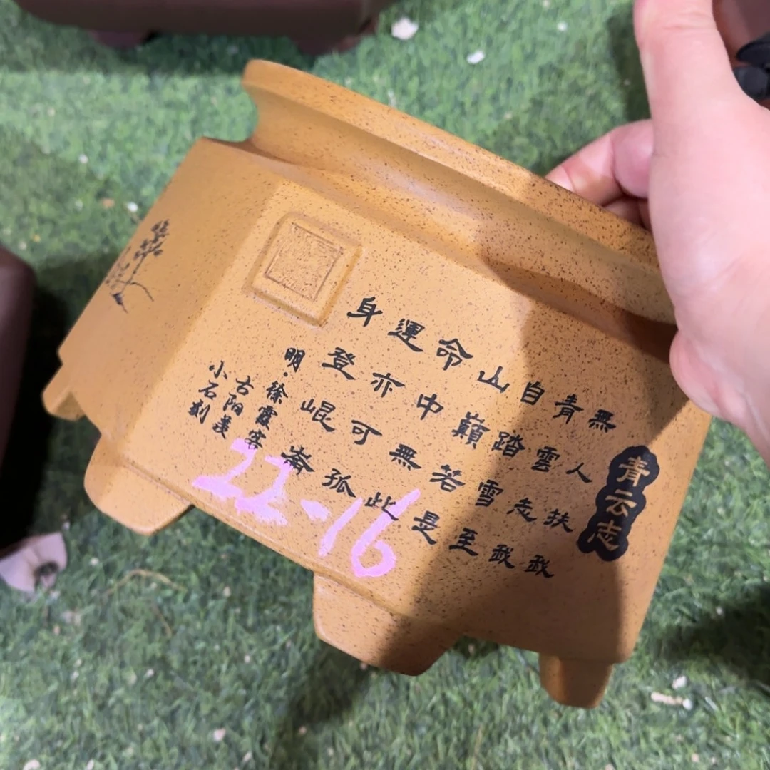 紫砂花盆紫砂花盆
