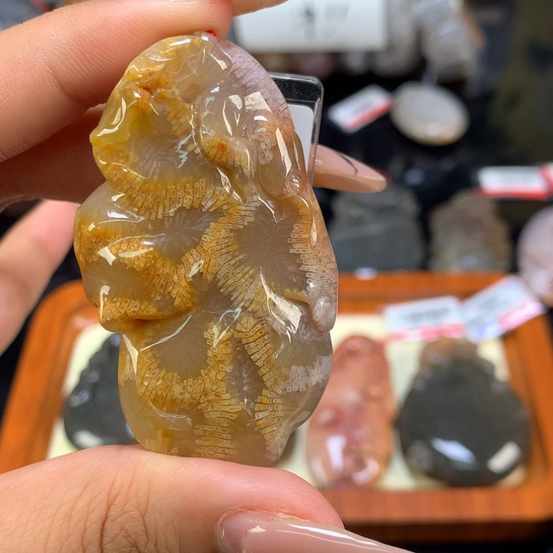 【闪购商品】颈饰未镶嵌硅化珊瑚（珊瑚玉）12号