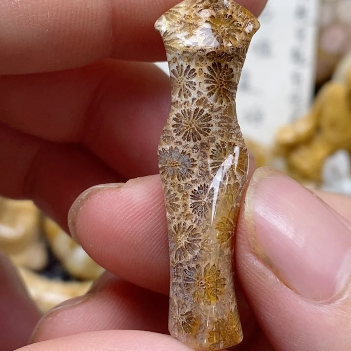 颈饰未镶嵌硅化珊瑚（珊瑚玉）