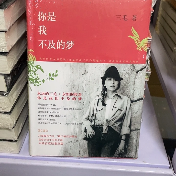 你是我不及的梦  精装带塑封