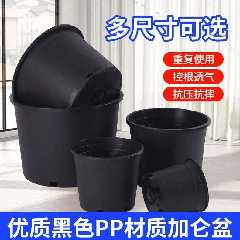 加仑盆透气阳台种菜盆家用客厅蔬菜绿植盆栽室内通用大号花盆