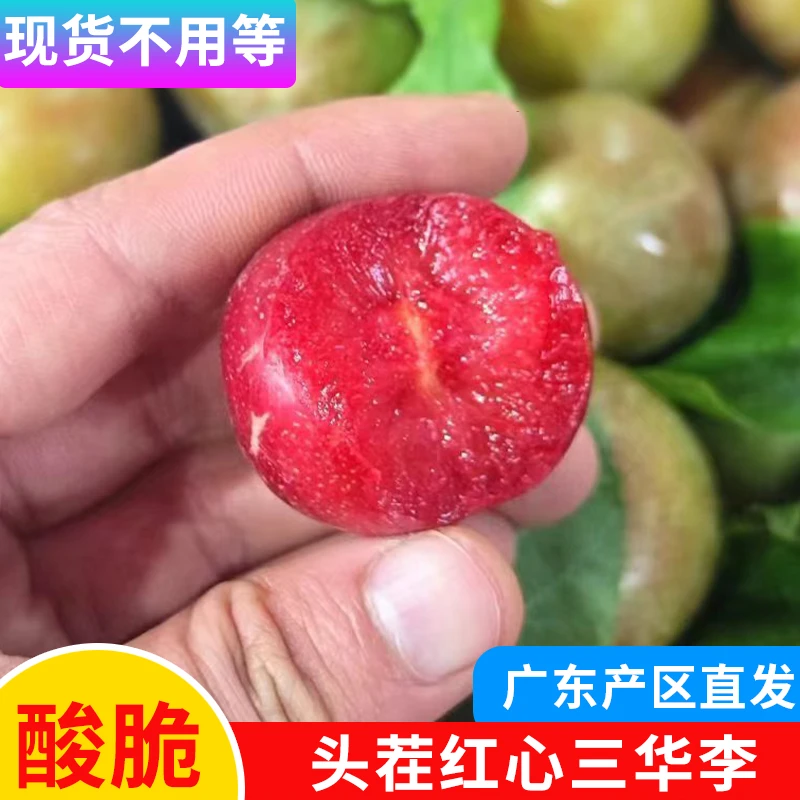 【现货】广东三华李红心李酸涩爽脆李子新鲜当季应季水果早红心李子