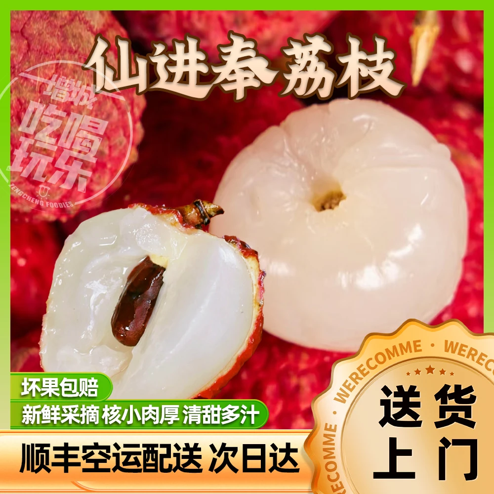 【增城仙进奉荔枝】【顺丰空运更新鲜】【浓郁花香】【汁多核小】【现摘现发】3/5/10斤装荔枝荔枝同城送