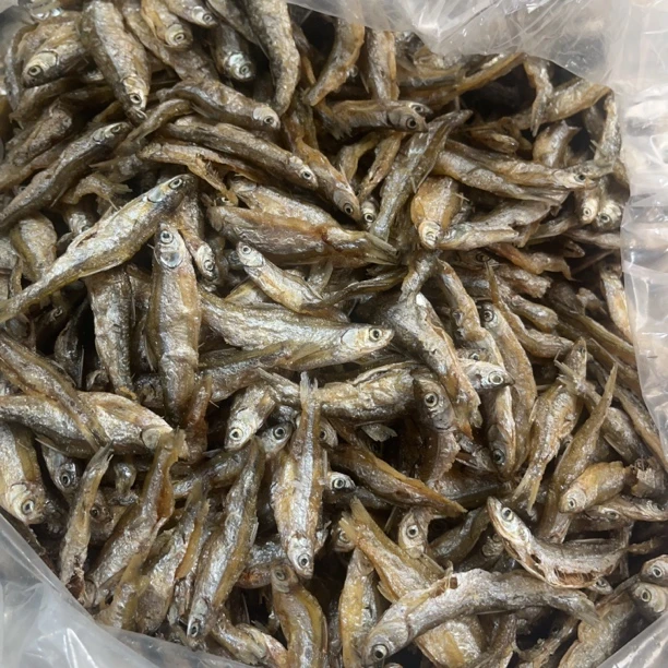 福建寿宁油炸溪鱼干 带鱼干