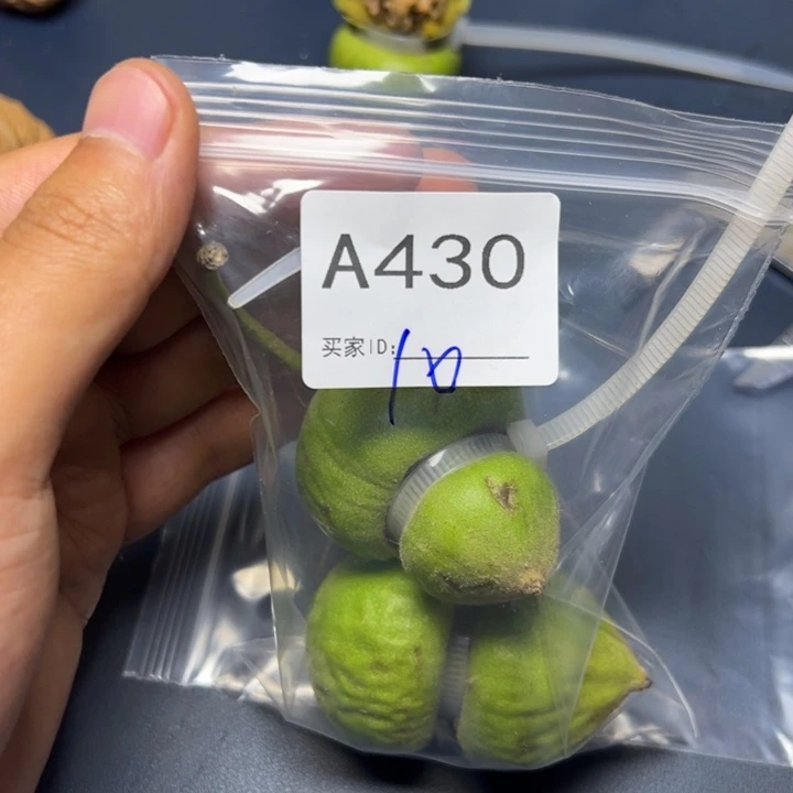 核桃把件哈哈哈哈