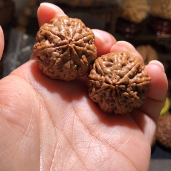 吊坠橄榄核多瓣金刚菩提