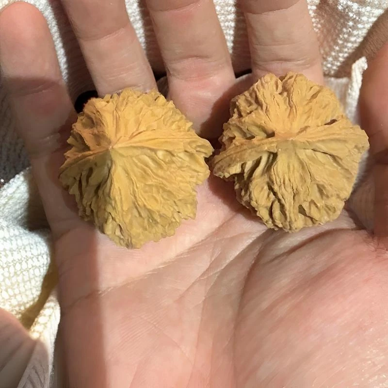 苹果园全品无修，皮质骨质嘎嘎棒