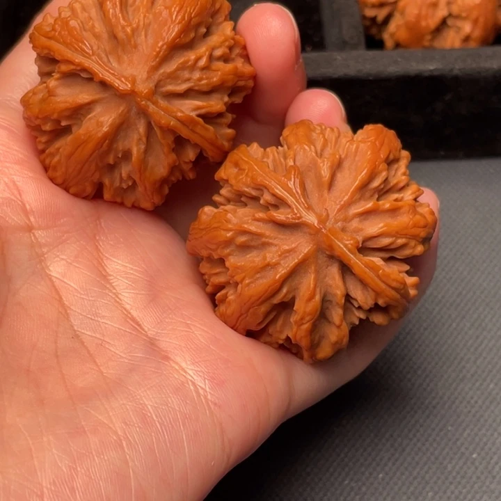 菩提籽类秦岭野生核桃文玩