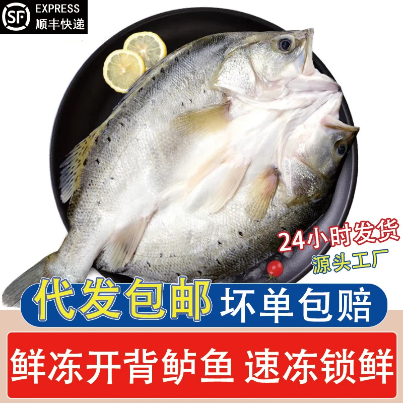 开背海鲈鱼4条500-600g三去免杀免处理 冷冻开背海鲈鱼