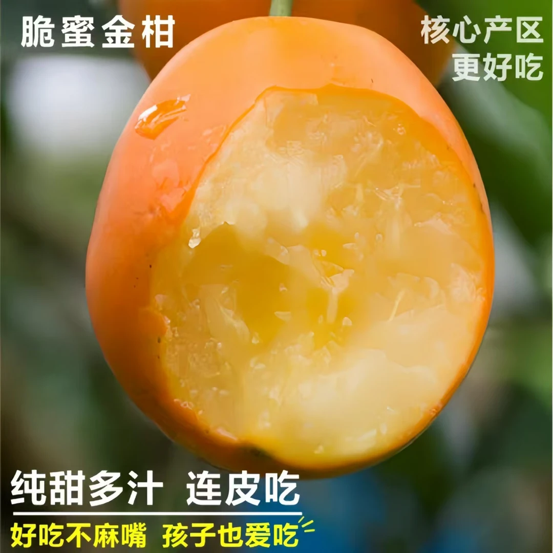 【融安脆蜜金桔】正宗广西脆蜜金柑纯甜金桔新鲜水果带皮吃坏果包赔
