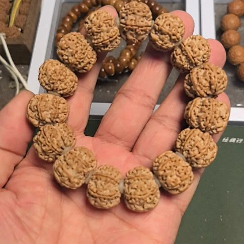 金刚菩提手串七瓣大金刚手串，20左右尺寸，原皮原色