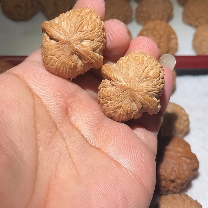 木38精品大肚泥鳅背。