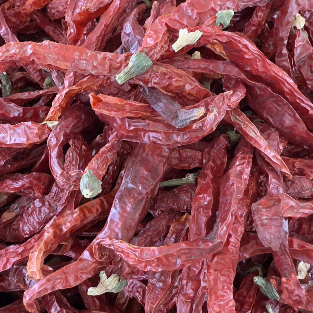 实拍微辣增香二荆条干辣椒日晒无硫辣椒