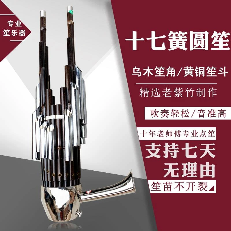 笙乐器专业圆笙17簧精品独奏紫竹笙成人初学者入门D调C调