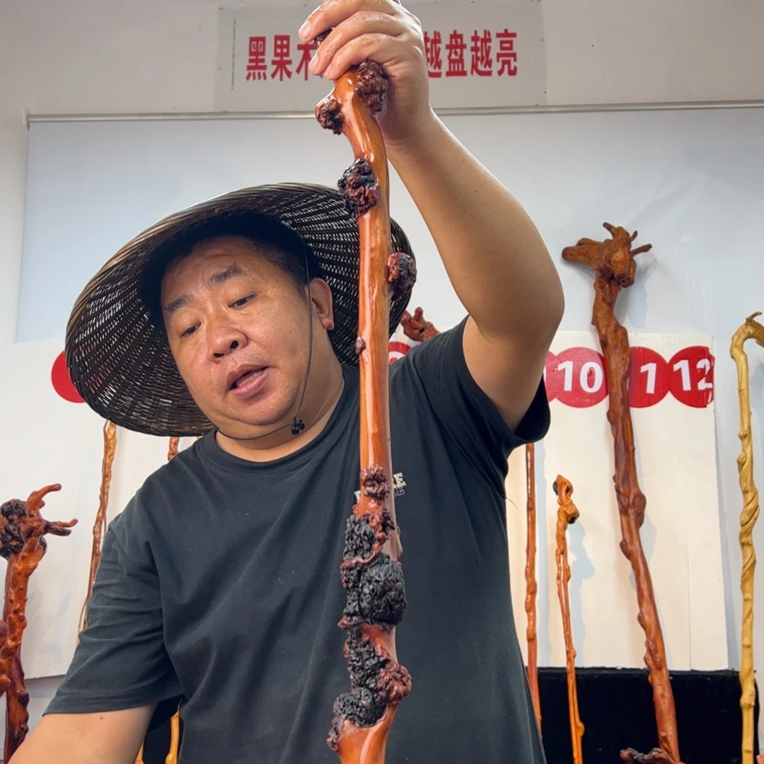 玉***子黑果木其他黑果木464