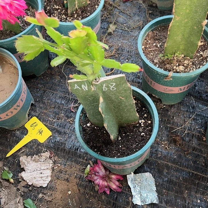 快****63号068，111111111