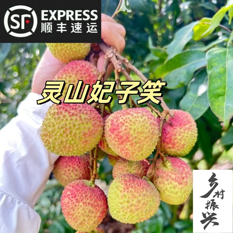 【顺丰冷链】灵山特产荔枝妃子笑新鲜水直发香甜鲜荔枝 灵山发货