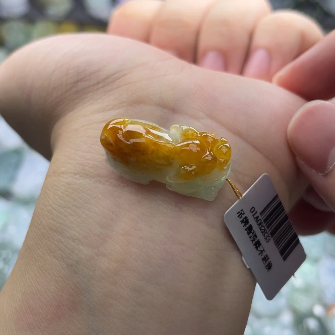 颈饰未镶嵌翡翠貔貅4