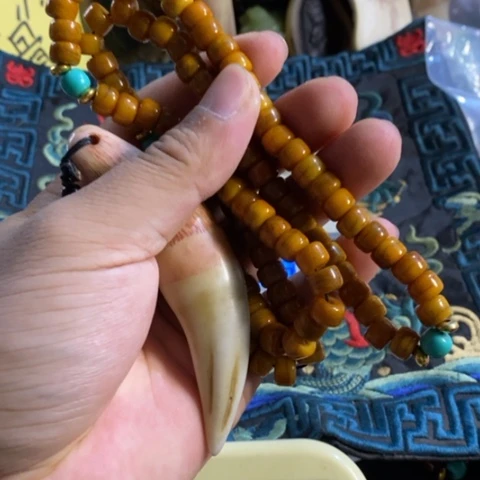大哥专拍链接一号
