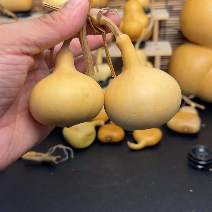 E****）86666588888966999