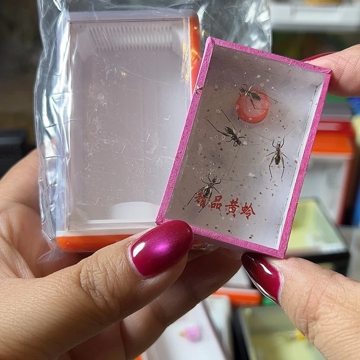 虎***猫蟋蟀哈哈哈哈哈哈哈哈哈哈哈
