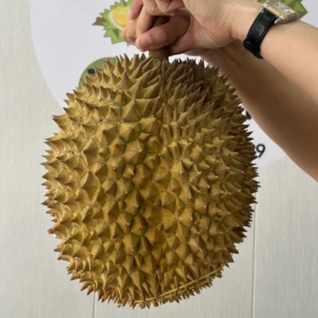 泰国金枕6-7斤核小金枕新鲜榴莲（默认开果）金枕泰国