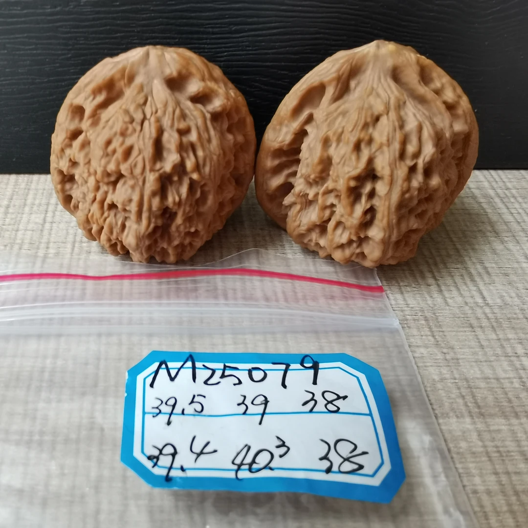 M25079文玩核桃涿鹿涞水野山生老树果39mm南疆石大果一对