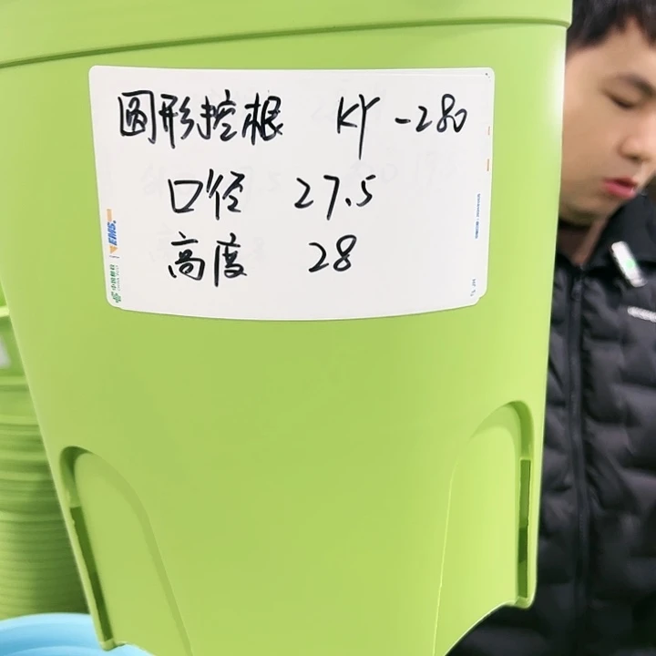 正品圆控口27.5高28果绿色5个无托