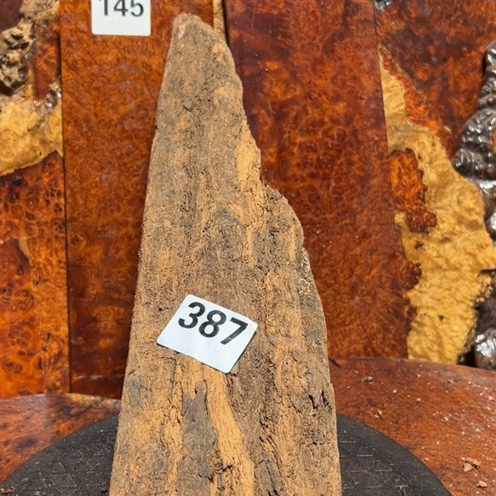 大果紫檀（缅甸花梨）