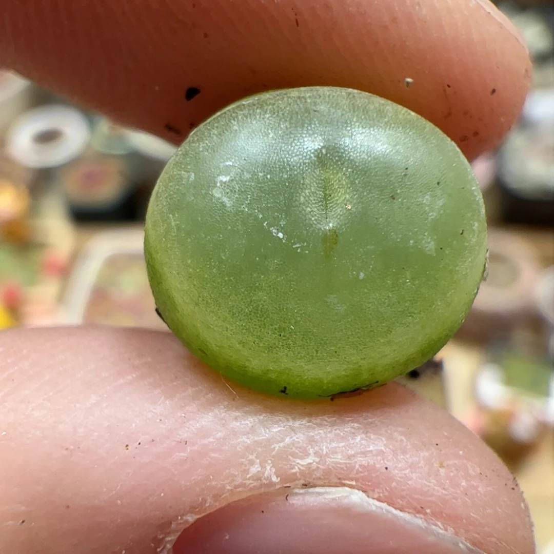 【闪购商品】159 紫皮