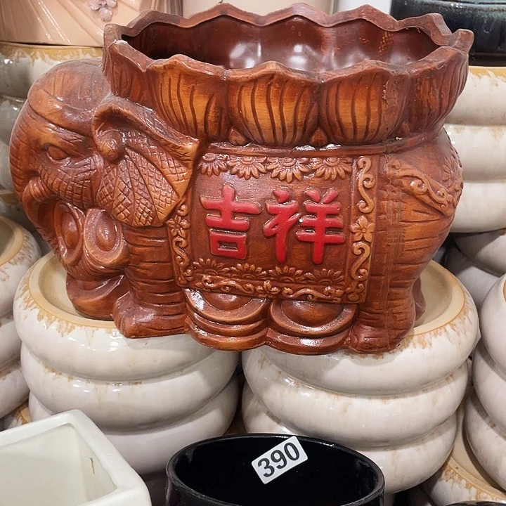 花盆花盆花盆花盆花盆花盆花盆