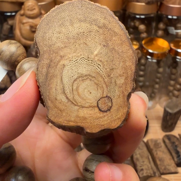 沉香碎屑沉香柬埔寨菩萨随形 8.1 克