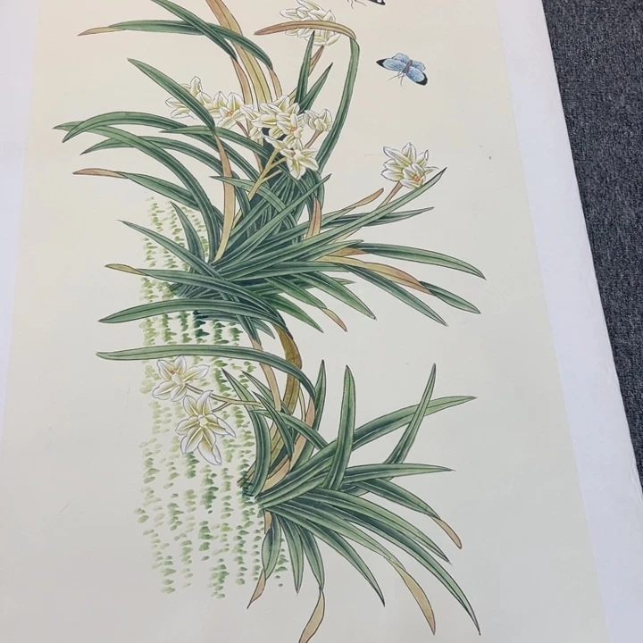 手绘作品全场放大漏