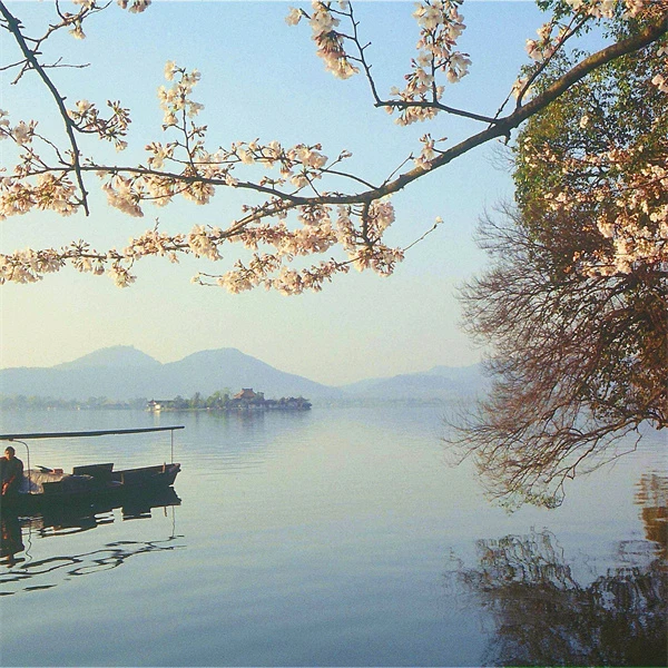 慧 新中式风  夔龙纹祥云短袖 511256