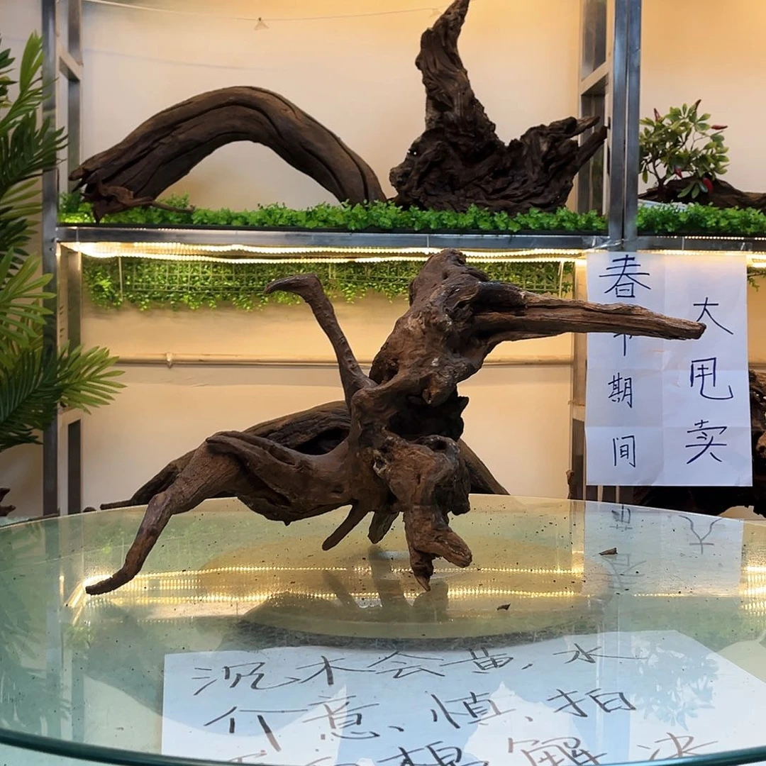 柚木转***嗳沉木鱼缸造景